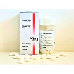 M&M Labs Tamoxifen