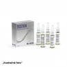 Arenis Medico Testen