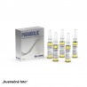 Arenis Medico Parabolic